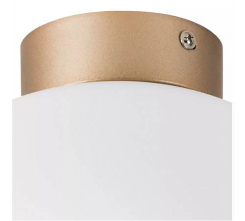 Потолочный светильник Lightstar Globo 812033 Потолочный светильник Lightstar Globo 812033