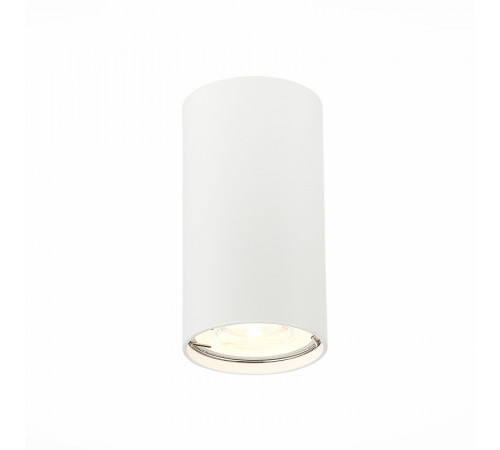 Потолочный светильник ST LUCE ST110.507.01 Потолочный светильник ST LUCE ST110.507.01
