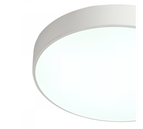 Потолочный светильник Zortes Tortty ZRS.02564.48 Потолочный светильник Zortes Tortty ZRS.02564.48
