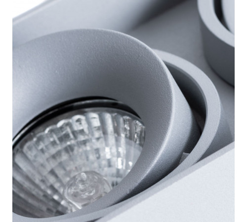 Потолочный светильник Arte Lamp Pictor A5654PL-2GY Потолочный светильник Arte Lamp Pictor A5654PL-2GY