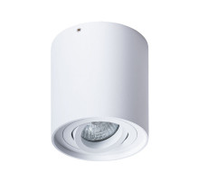 Потолочный светильник Arte Lamp Falcon A5645PL-1WH