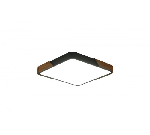 Потолочный светильник Zortes Alberro ZRS.01288.60 Потолочный светильник Zortes Alberro ZRS.01288.60