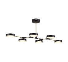 Потолочный светильник Evoluce Monta SLE6004-402-06