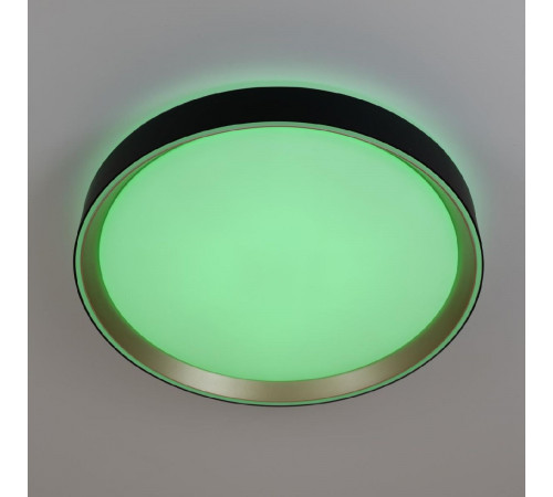 Потолочный светильник Citilux Boss CL751351G Потолочный светильник Citilux Boss CL751351G
