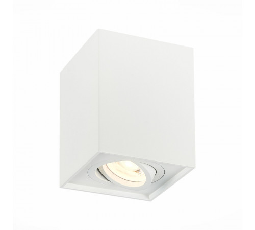 Потолочный светильник ST LUCE ST109.507.01 Потолочный светильник ST LUCE ST109.507.01