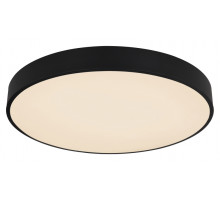 Потолочный светильник Globo Leanara 41756-36B