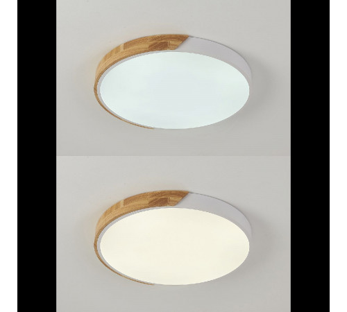 Потолочный светильник Natali Kovaltseva Scandinavian LED LAMPS 81182 Потолочный светильник Natali Kovaltseva Scandinavian LED LAMPS 81182