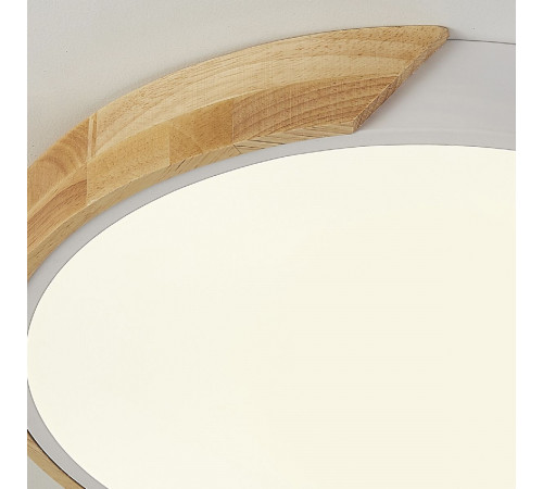 Потолочный светильник Natali Kovaltseva Scandinavian LED LAMPS 81181 Потолочный светильник Natali Kovaltseva Scandinavian LED LAMPS 81181
