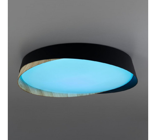 Потолочный светильник Citilux Bonny CL754351G Потолочный светильник Citilux Bonny CL754351G