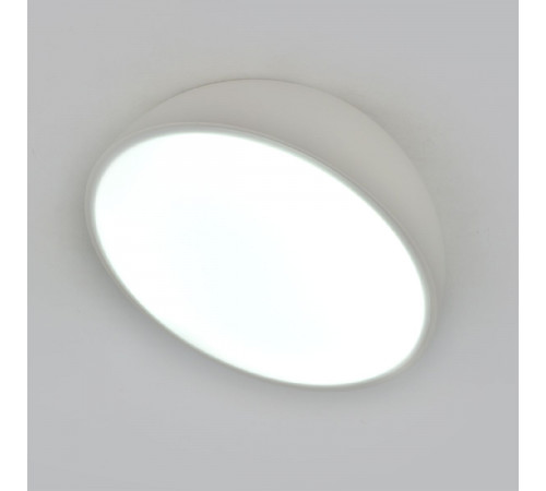 Потолочный светильник Escada 20025SMA/01LED WH