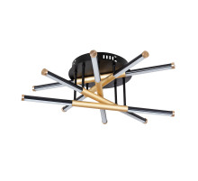 Потолочный светильник Arte Lamp Fernando A2199PL-5BK