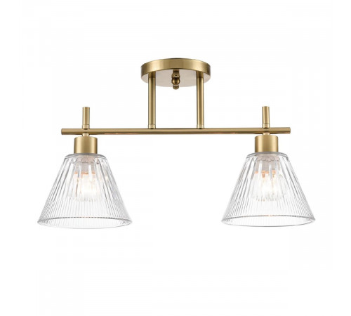 Потолочный светильник Lumion Vivian 8188/2C Потолочный светильник Lumion Vivian 8188/2C