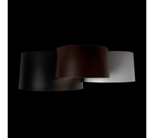 Потолочный светильник Loft IT Duo 10360/3 Потолочный светильник Loft IT Duo 10360/3
