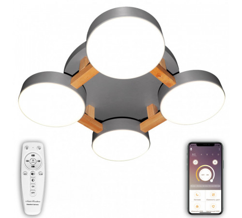 Потолочный светильник Natali Kovaltseva LED LAMPS 81326 Потолочный светильник Natali Kovaltseva LED LAMPS 81326