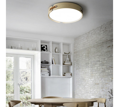 Потолочный светильник ImperiumLoft Range 195542-26 Потолочный светильник ImperiumLoft Range 195542-26