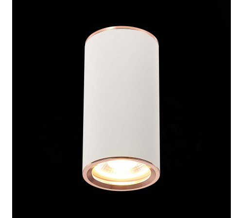 Потолочный светильник ST Luce Chomus ST111.527.01 Потолочный светильник ST Luce Chomus ST111.527.01