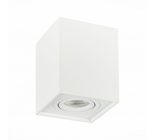 Потолочный светильник ST LUCE ST109.507.01 Потолочный светильник ST LUCE ST109.507.01