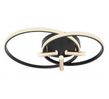 Потолочный светильник Globo Coco 67300D