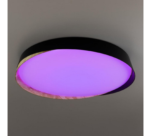 Потолочный светильник Citilux Bonny CL754451G Потолочный светильник Citilux Bonny CL754451G