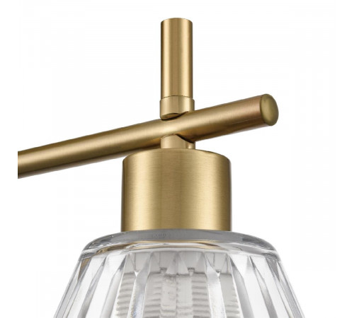 Потолочный светильник Lumion Vivian 8188/2C Потолочный светильник Lumion Vivian 8188/2C