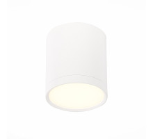 Потолочный светильник ST Luce Rene ST113.532.05
