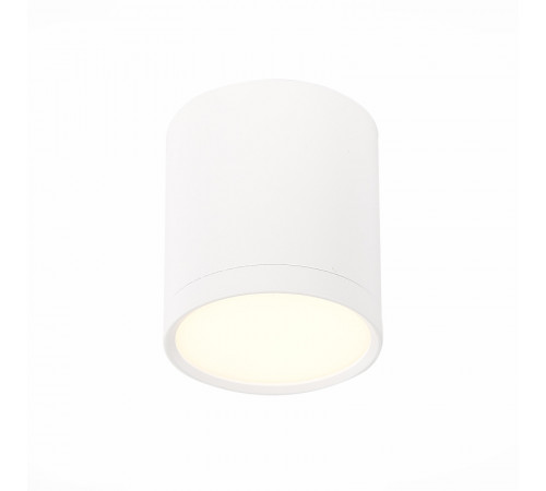 Потолочный светильник ST Luce Rene ST113.532.05 Потолочный светильник ST Luce Rene ST113.532.05