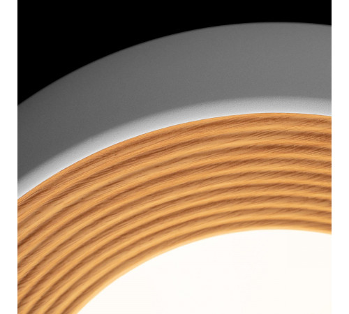 Потолочный светильник Loft IT Folk 10255/350 White Потолочный светильник Loft IT Folk 10255/350 White