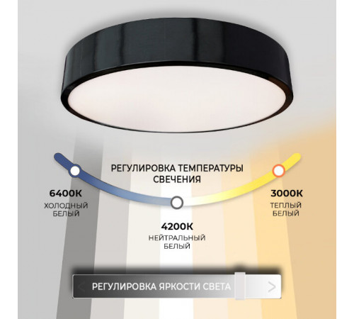 Потолочный светильник Seven Fires Эйри 48200.40.72.77BK Потолочный светильник Seven Fires Эйри 48200.40.72.77BK