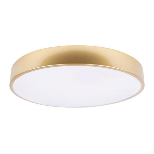 Потолочный светильник Loft IT Flims 10228/A