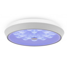 Потолочный светильник Freya Cells FR10012CL-L24W