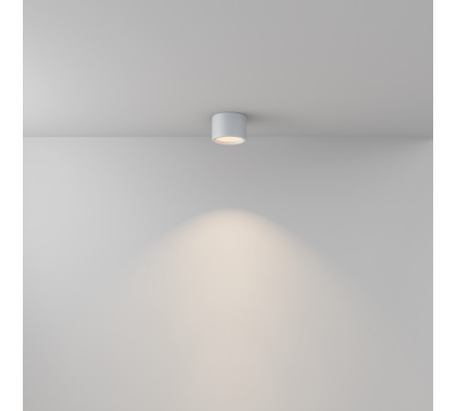 Потолочный светильник Maytoni Technical Ceiling&Wall Hydra C090CL-10W3K-W Потолочный светильник Maytoni Technical Ceiling&Wall Hydra C090CL-10W3K-W