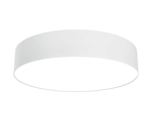 Потолочный светильник Maytoni Technical Ceiling & Wall Zon C032CL-36W3K-RD-W
