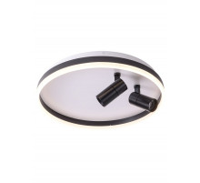 Потолочный светильник Zortes Raizy ZRS.1888.01