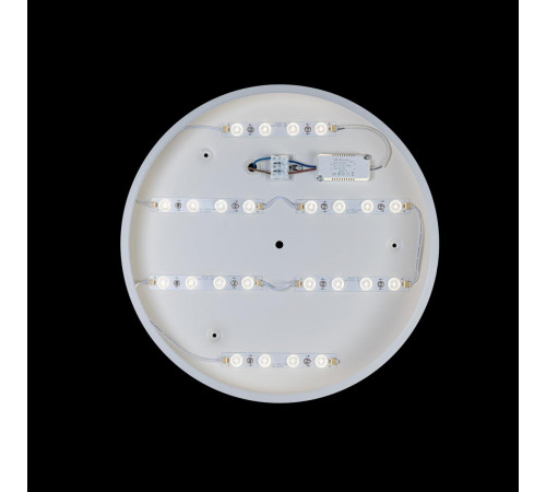 Потолочный светильник Loft IT AXEL 10003/24 White Потолочный светильник Loft IT AXEL 10003/24 White