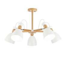 Потолочный светильник EVOLUCE BALCAMO SLE103802-05