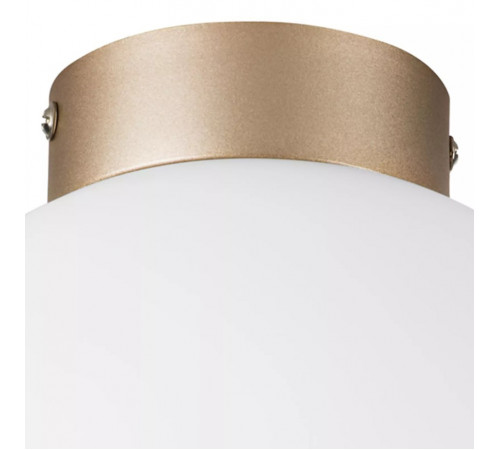 Потолочный светильник Lightstar Globo 812023 Потолочный светильник Lightstar Globo 812023