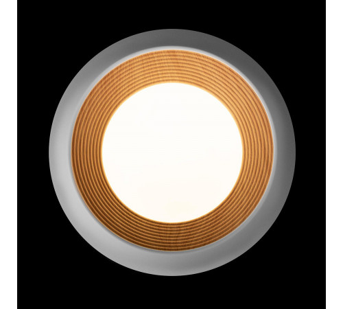 Потолочный светильник Loft IT Folk 10255/350 White Потолочный светильник Loft IT Folk 10255/350 White