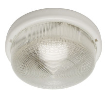 Потолочный светильник Feron НБО 05-100-001 41403