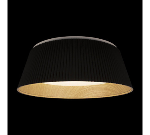 Потолочный светильник Loft IT Evans 10224 Black