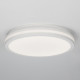 Потолочный светильник Citilux Luns CL711020V