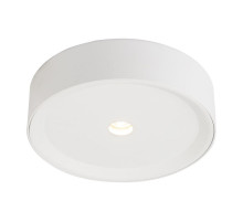 Потолочный светодиодный светильник Globo Arthur 55005-10