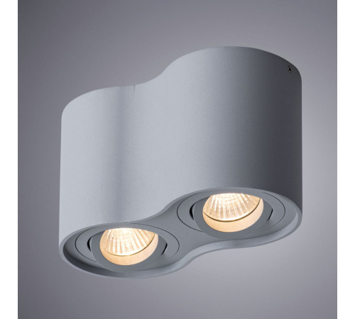 Потолочный светильник Arte Lamp Falcon A5645PL-2GY Потолочный светильник Arte Lamp Falcon A5645PL-2GY