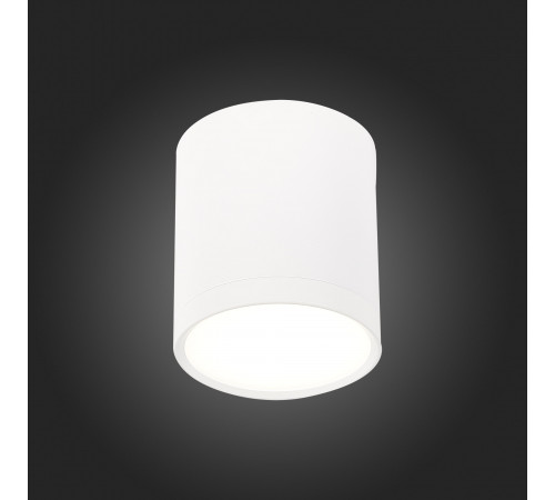 Потолочный светильник ST Luce Rene ST113.542.05