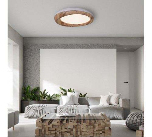 Потолочный светильник ImperiumLoft Runis 140974-26 Потолочный светильник ImperiumLoft Runis 140974-26