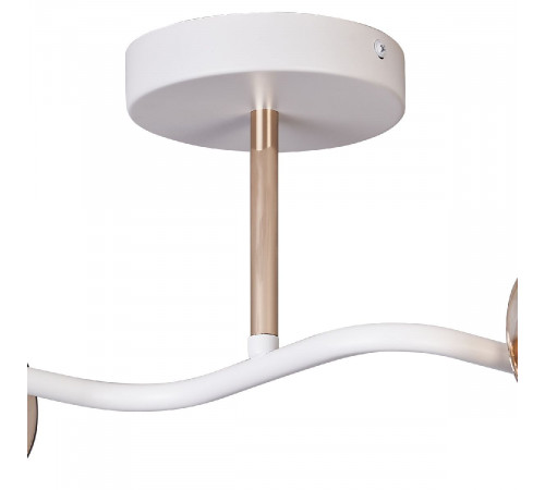 Потолочный светильник Illumico IL8148-2COU-79 WH GD Bice