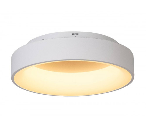 Потолочный светильник Myfar Shannon MR2194-1PL Потолочный светильник Myfar Shannon MR2194-1PL