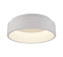 Потолочный светодиодный светильник Arte Lamp A6245PL-1WH