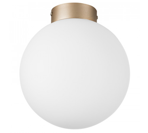 Потолочный светильник Lightstar Globo 812023 Потолочный светильник Lightstar Globo 812023