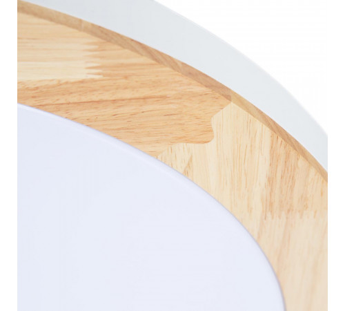 Потолочный светодиодный светильник Arte Lamp Luce A2685PL-72WH Потолочный светодиодный светильник Arte Lamp Luce A2685PL-72WH