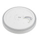 Потолочный светильник Citilux Boss CL751450G